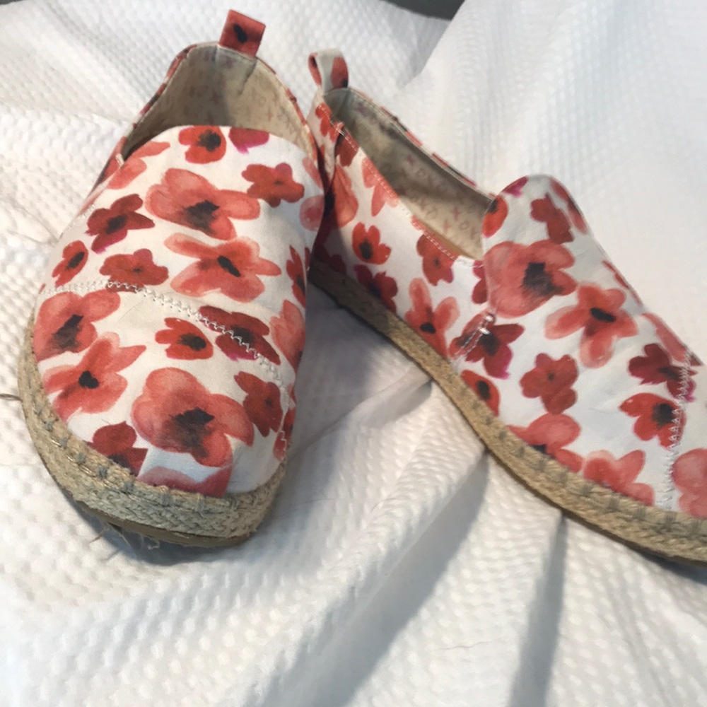 Toms red poppies